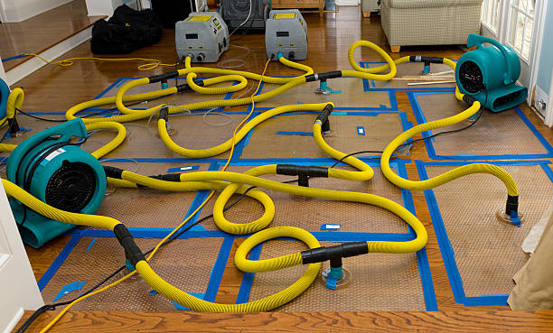 Professional Burst Pipe Water Damage technician working in Wilson, AR